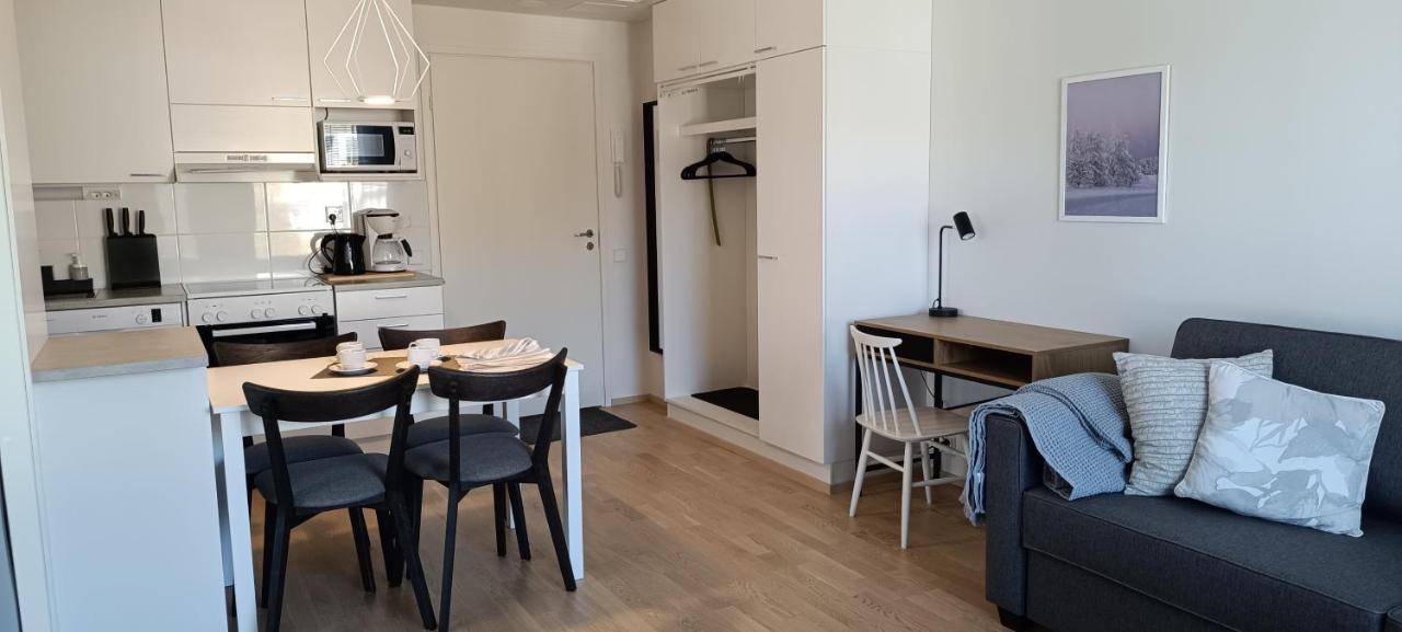Kodikas Huoneisto, Oma Sauna, Ilmainen Pysaekoeinti Rovaniemi Extérieur photo