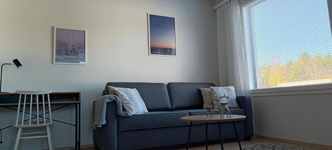 Kodikas Huoneisto, Oma Sauna, Ilmainen Pysaekoeinti Rovaniemi Extérieur photo