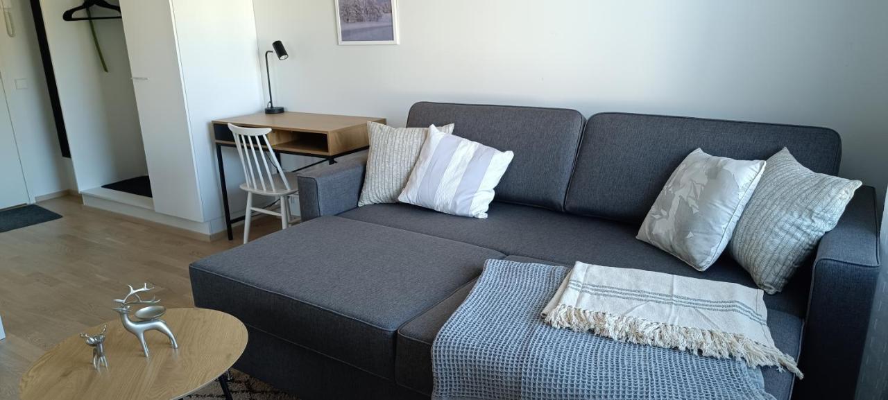 Kodikas Huoneisto, Oma Sauna, Ilmainen Pysaekoeinti Rovaniemi Extérieur photo